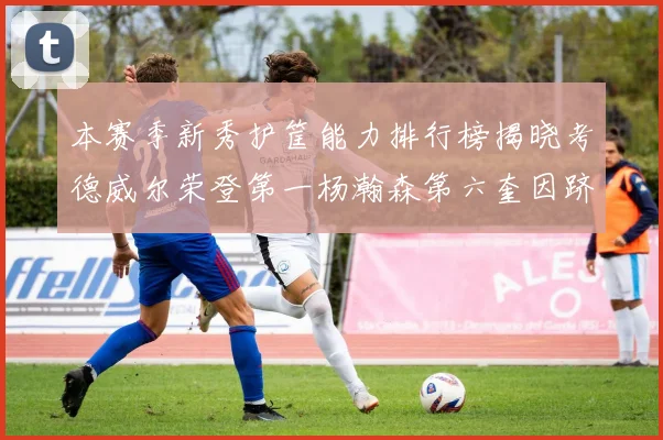 本赛季新秀护筐能力排行榜揭晓考德威尔荣登第一杨瀚森第六奎因跻身前十