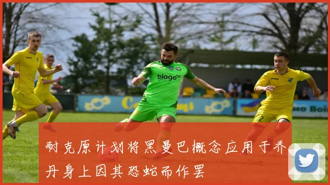 耐克原计划将黑曼巴概念应用于乔丹身上因其恐蛇而作罢