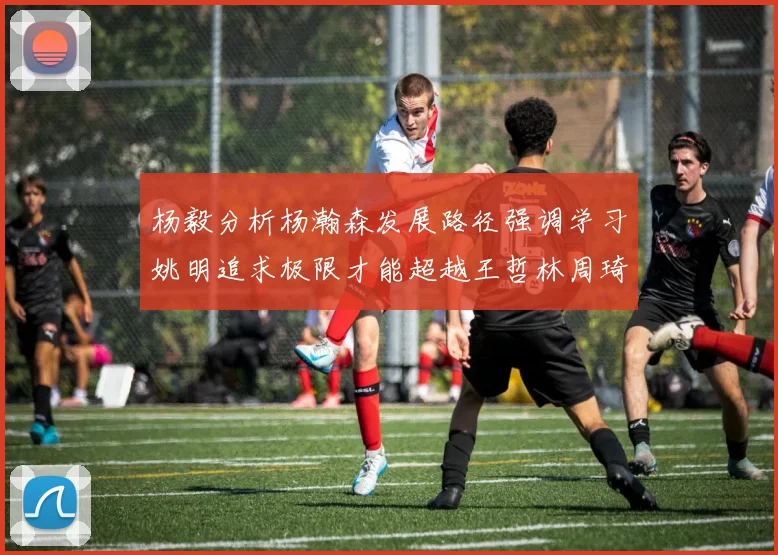 杨毅分析杨瀚森发展路径强调学习姚明追求极限才能超越王哲林周琦状态