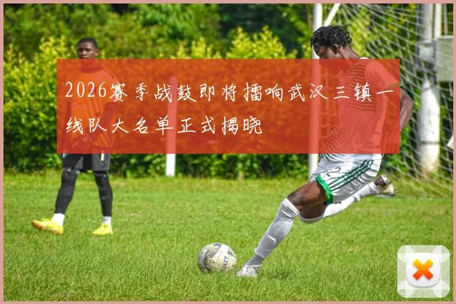2026赛季战鼓即将擂响武汉三镇一线队大名单正式揭晓