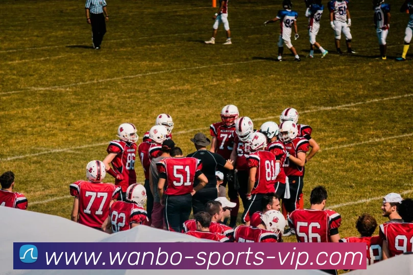 多媒体互动体验